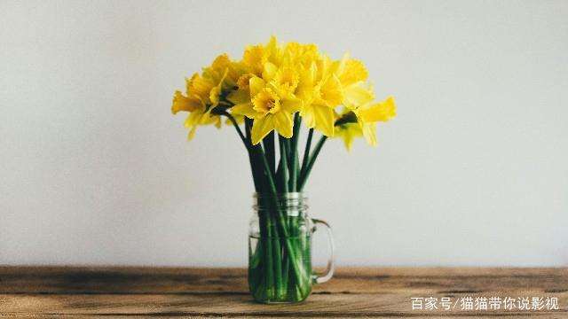  适合发朋友圈开心一刻 开心一刻的美句