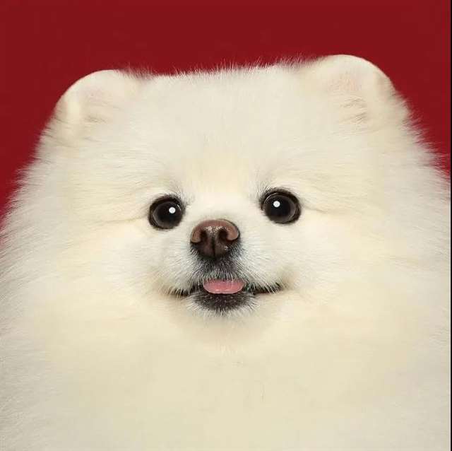  很暖很治愈的短句 适合所有情绪的句子