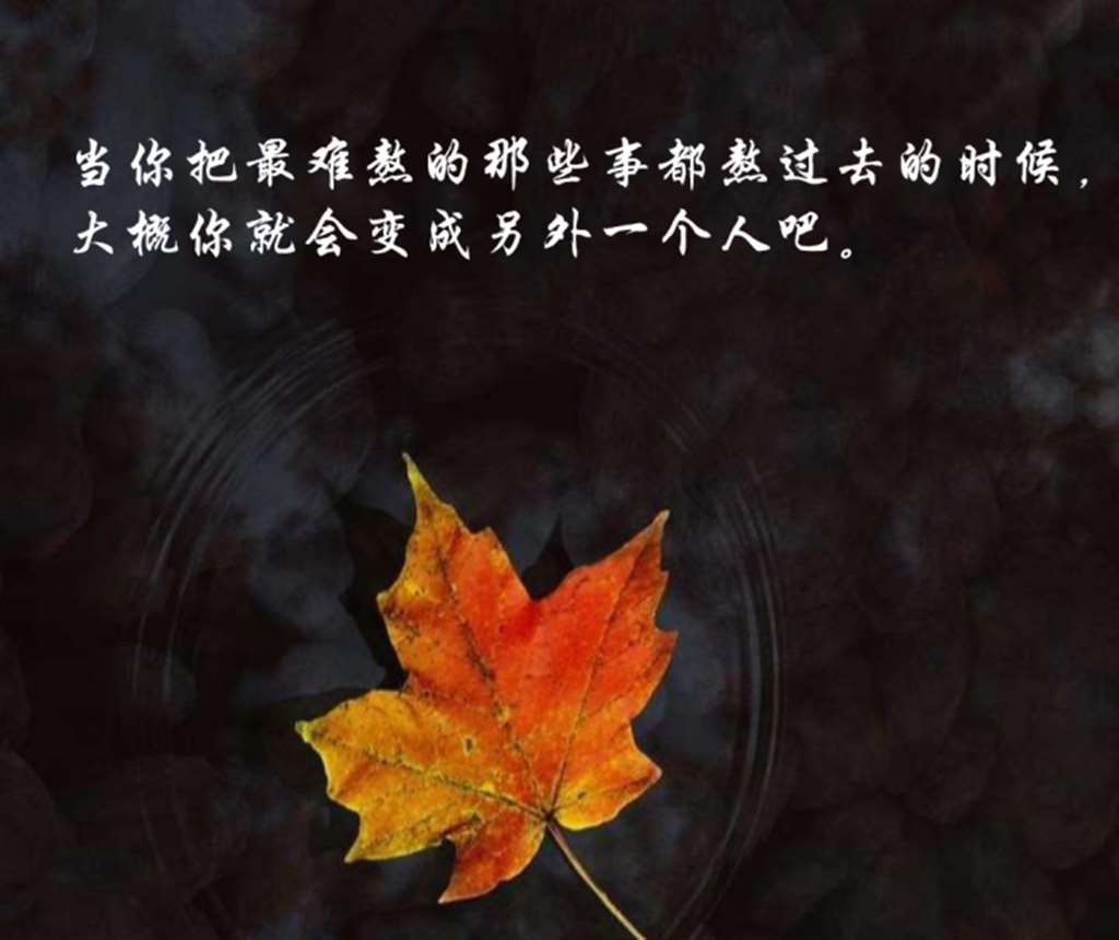 当你把最难熬的那些事都熬过去的时候