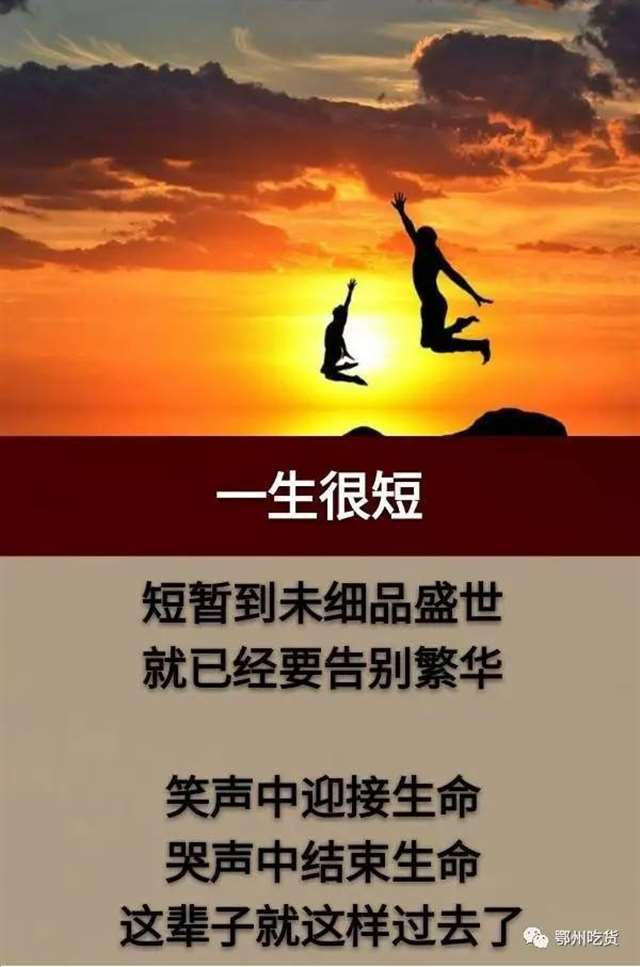 这一生,很累;这一生,很苦;这一生,很难;这一生,很短!