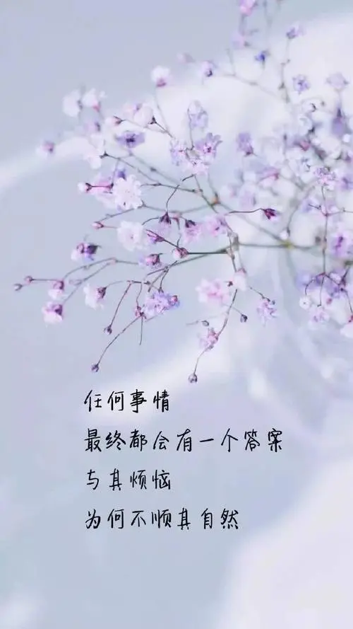 人生感悟20句:哲理经典短句,走心的心情句子