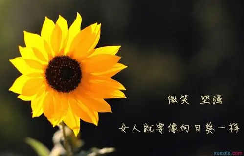 人生感悟经典语录,感悟人生的语录句子