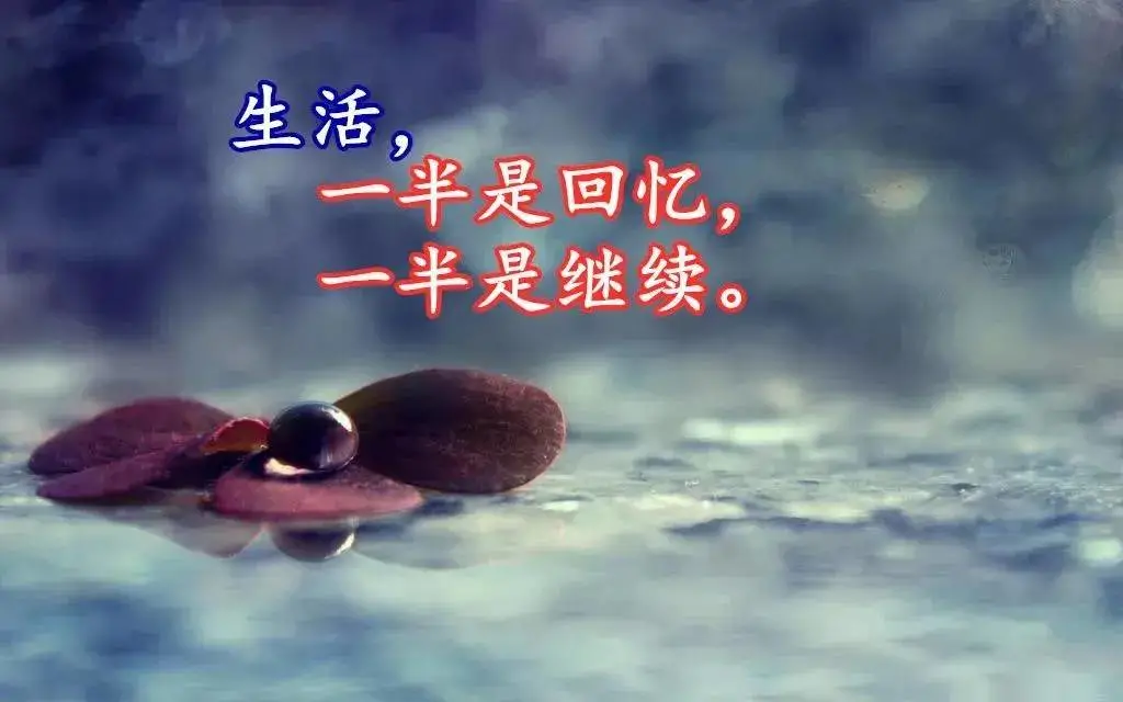 人生感悟哲理的简短语录,哪句戳中了你的心?