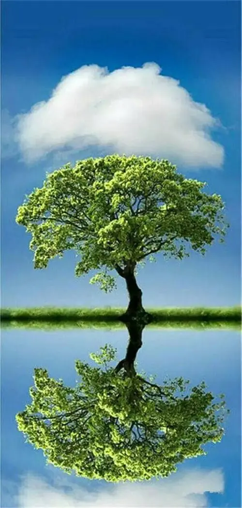 哲理人生心灵感悟