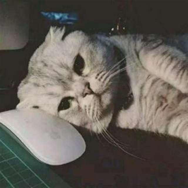 厌倦了现在的生活却又不知道去哪里