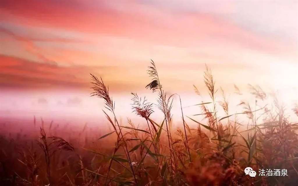 2020,活着就是幸福.2021,希望所有的人都快乐!