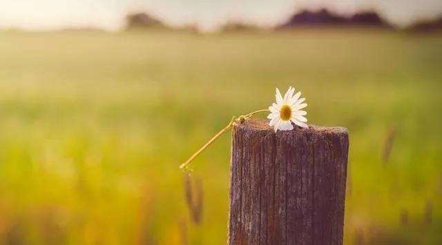 有些心情,是无法言说的. 笑容,都显得牵强; 话语,都觉得多余.