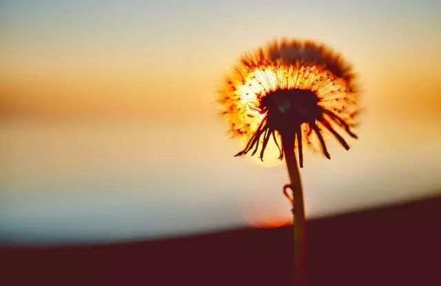 如果你觉得活得太累