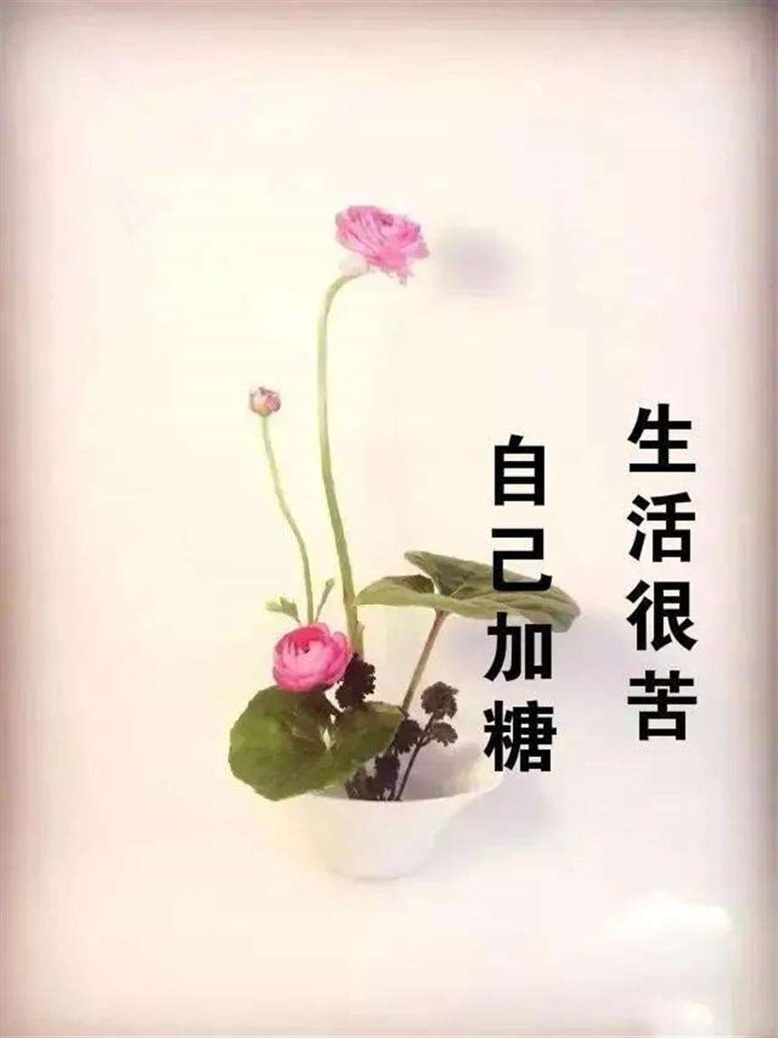 余生,善待自己的一段话!