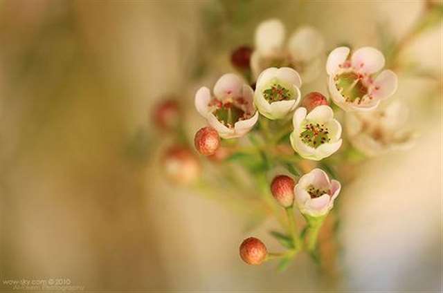 人生哲理句子精辟 人生哲理名言100句