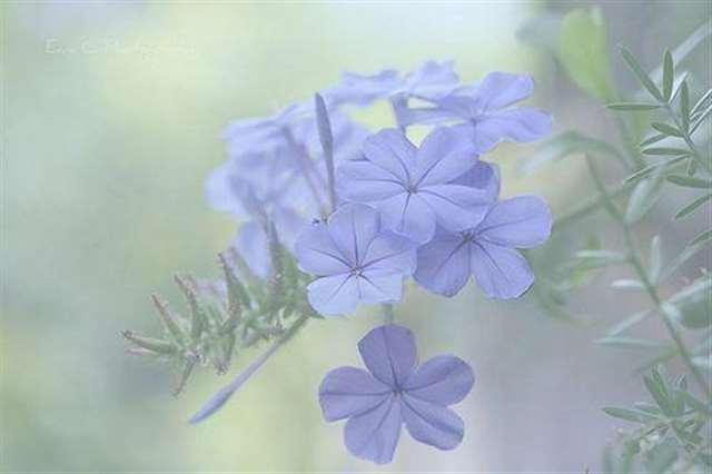 现实生活又很扎心的句子 感觉心累,心态要崩溃了