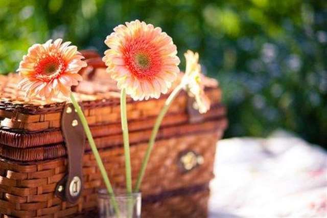 现实生活又很扎心的句子 感觉心累,心态要崩溃了