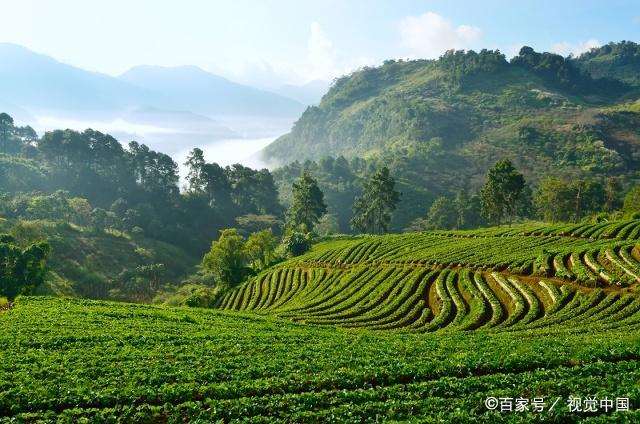 女人看透婚姻的句子 感觉心累,心态要崩溃了