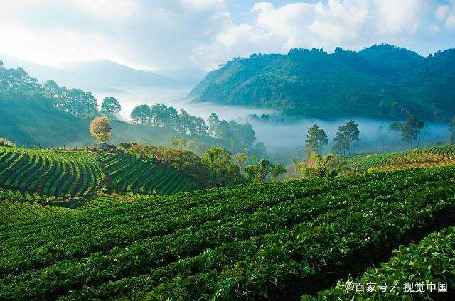 女人看透婚姻的句子 感觉心累,心态要崩溃了