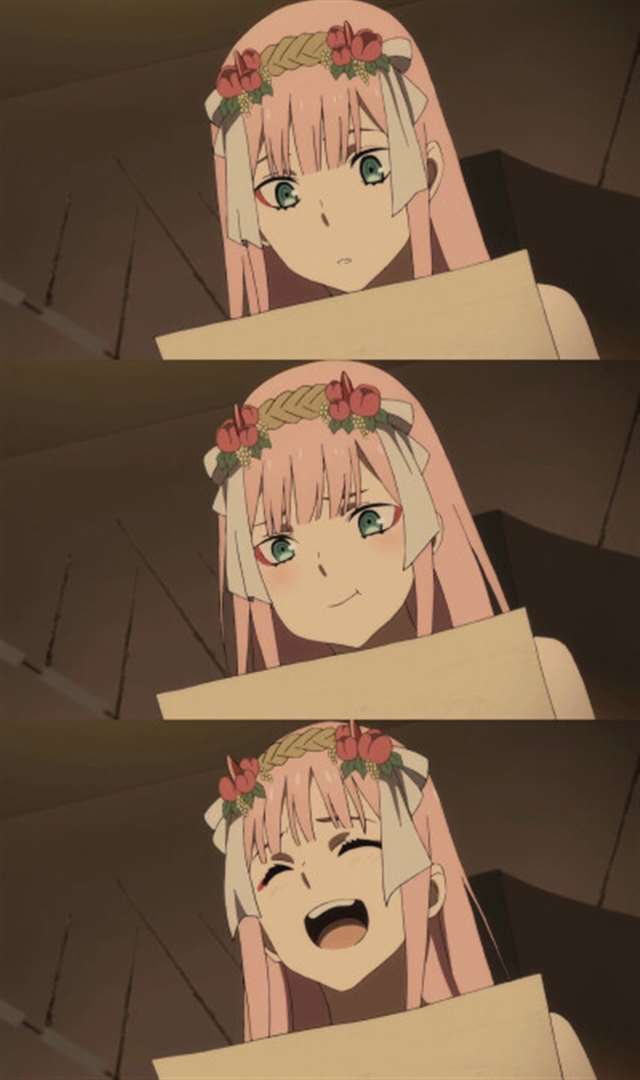 国家队02头像_darling in the franxx_头像篇_no.12