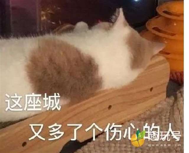  周淑怡311事件黑葡萄照片