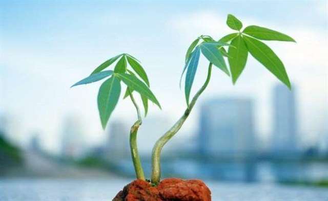 一句话表达自己心烦 一个人心烦的说说