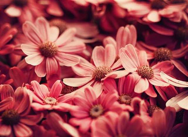 人生哲理的句子经典 :致自己 !(精辟)