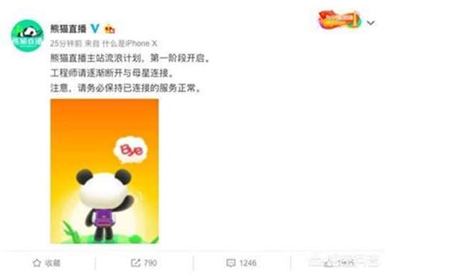 熊猫倒闭前一晚录像回放集体“破罐破摔”