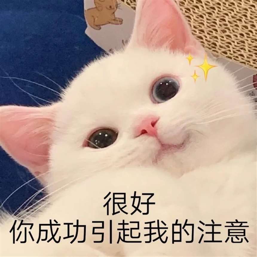 适合发朋友圈的表情