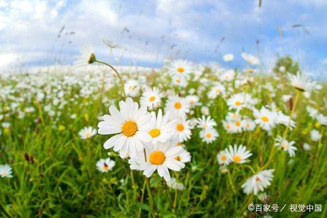 深夜致自己的说说 夜已深,心不静,人未眠