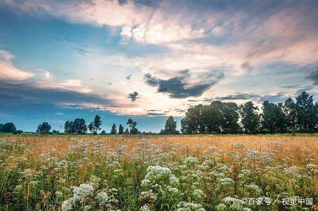 深夜致自己的说说 夜已深,心不静,人未眠