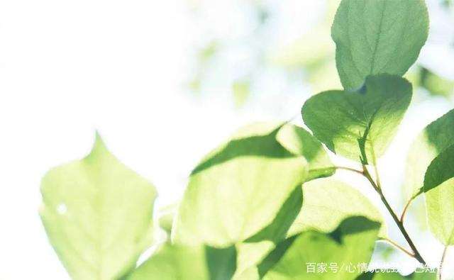 成年里的生活没有容易的句子 成年的心酸的句子