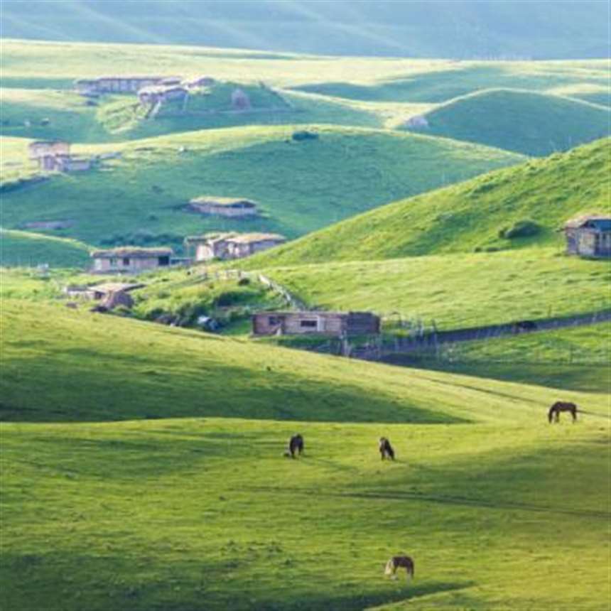 会带来好运的微信头像,绿色的草原牧场风景图片