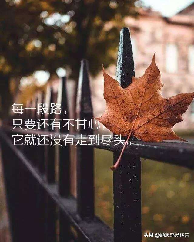 2019致自己的哲理经典语录,感悟人生