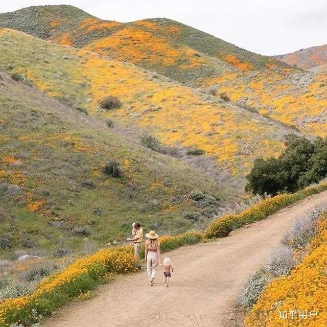 一眼就惊艳的文案 神仙文案短句
