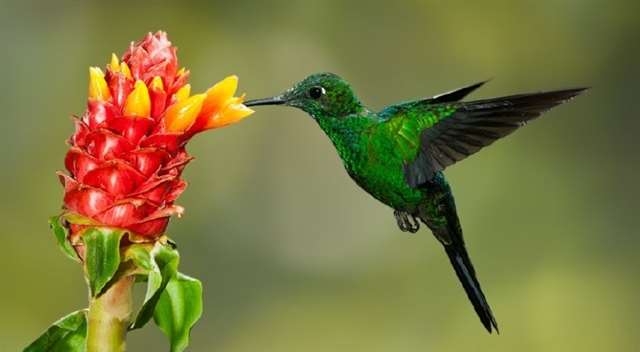 扎心的说说 感觉心像针扎一样疼的说说