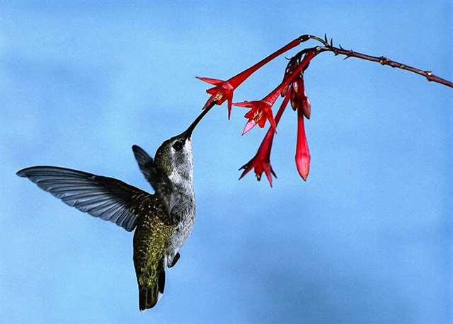 扎心的说说 感觉心像针扎一样疼的说说