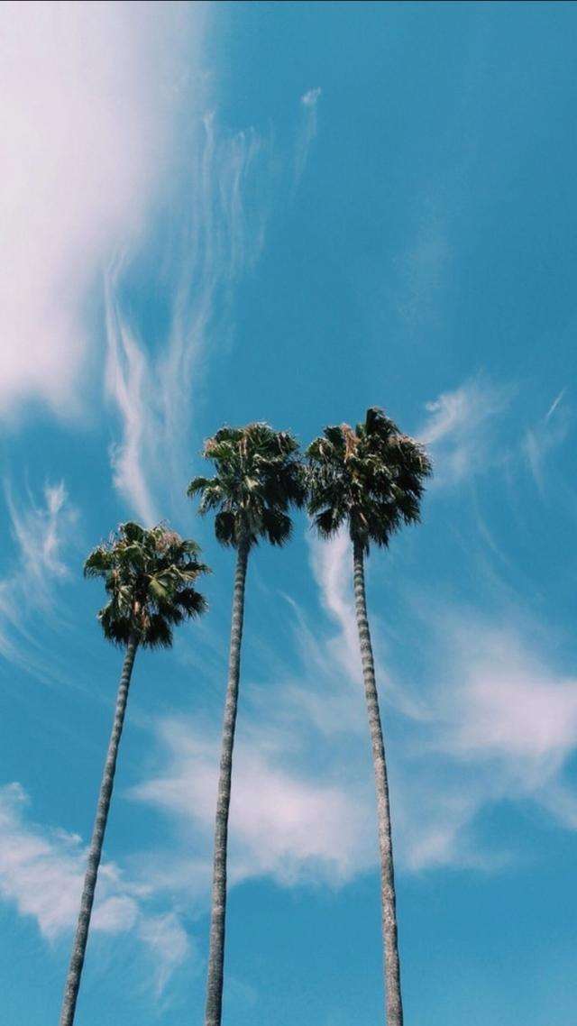 特别伤感让人看了想哭的句子 让人落泪的情感语录