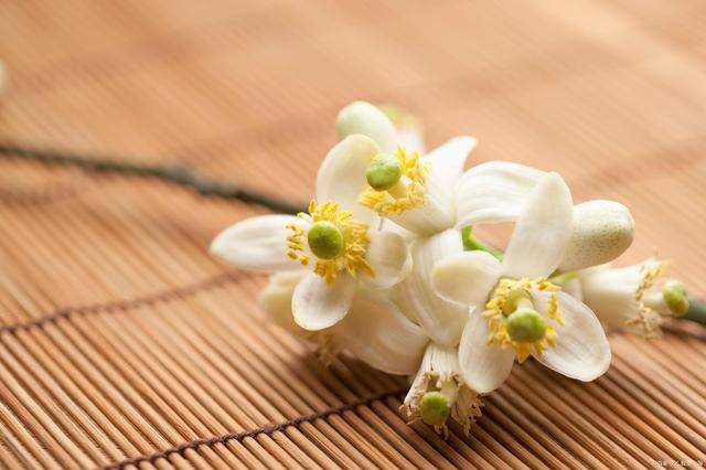 经历过巨大痛苦的人，成为更好的自己