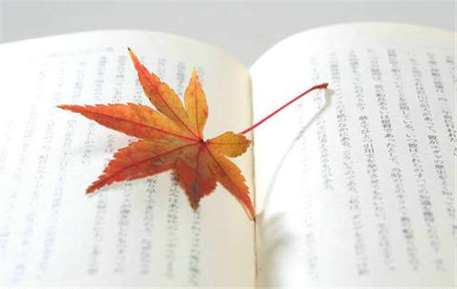 形容看淡一切无所谓的成语 看淡一切无所谓的句子