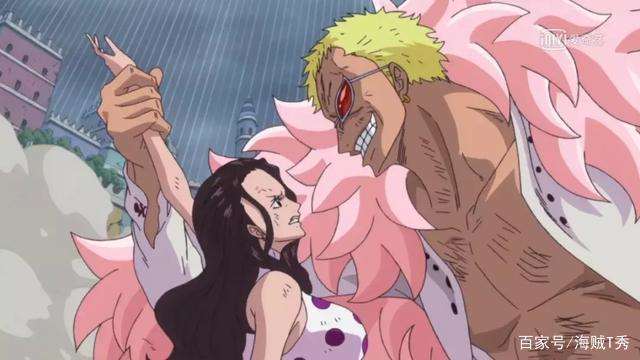 海贼王官方尾田承认的cp