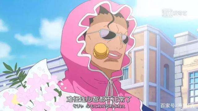 海贼王官方尾田承认的cp