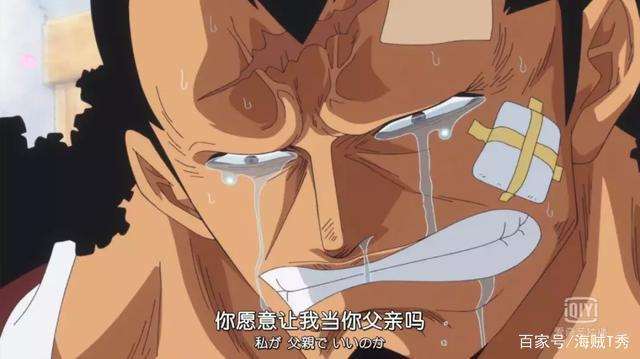 海贼王官方尾田承认的cp