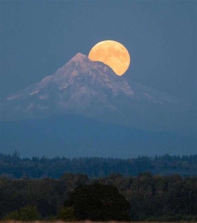 夜深人静的人生感悟 夜深人静最经典的句子