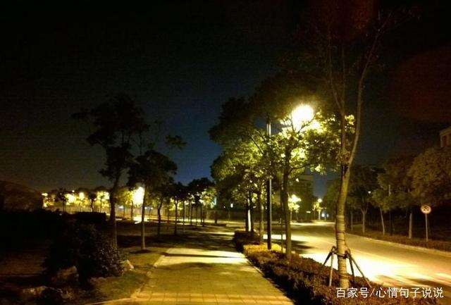 晚上拍夜景配一句话 随手拍夜景的说说