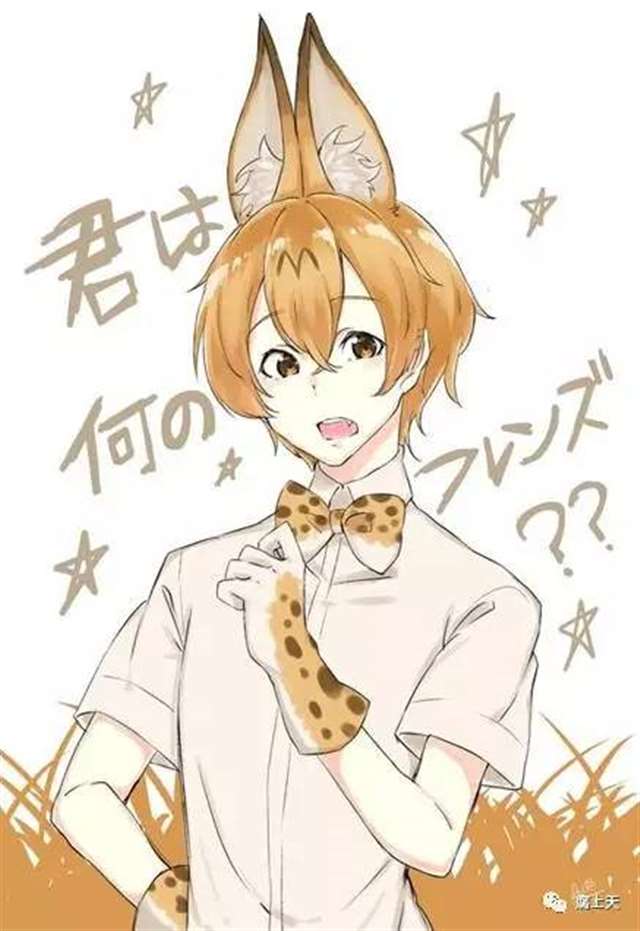 拟人化作品《我的动物朋友》