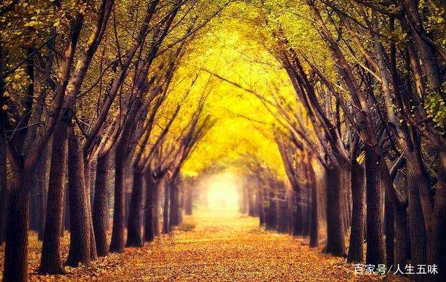 往事不回头余生不将就下一句