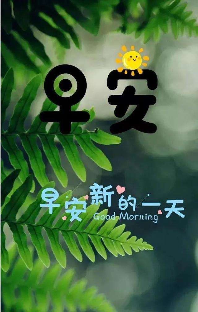 乐观心态的早安正能量句子,优美的早安祝福语暖心图片!