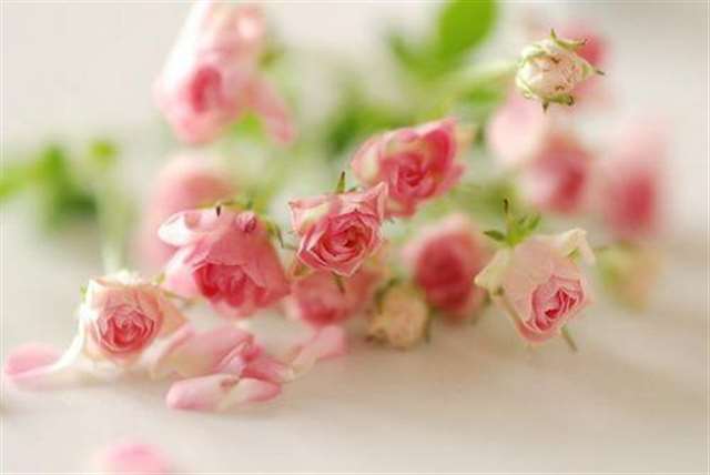 适合深夜感慨的句子 深夜感慨成熟的句子