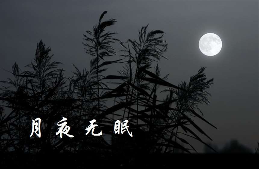 月夜无眠(炒豆子演唱版)