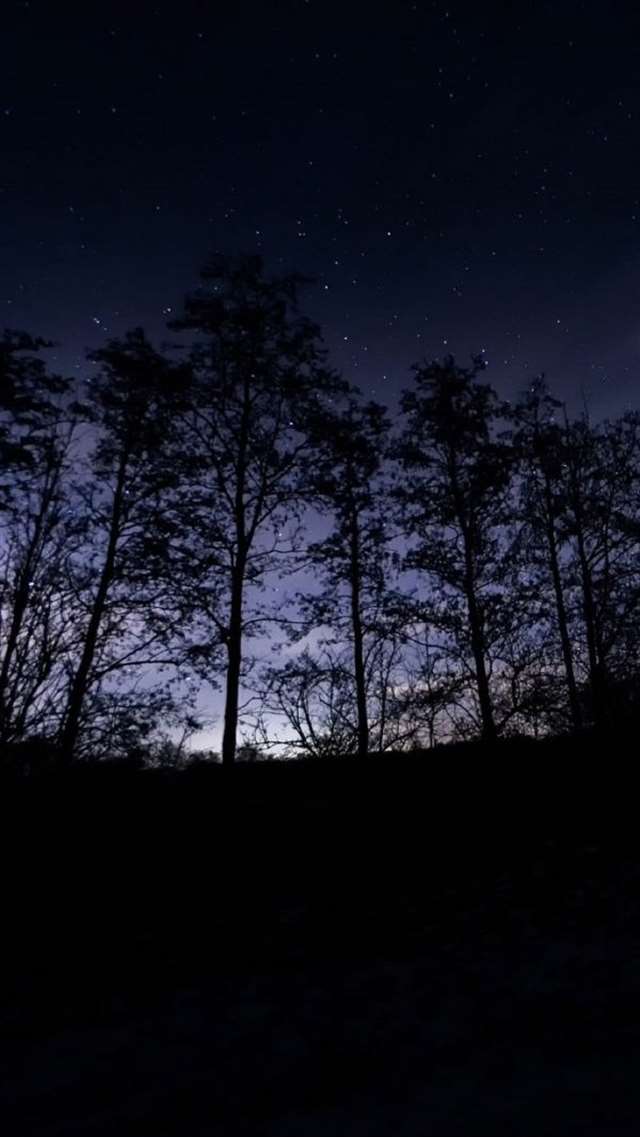 寂静的夜晚