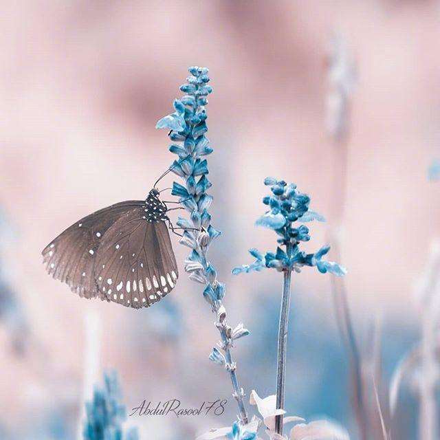 突然间看透一切的说说 一瞬间彻底醒悟的说说