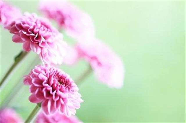 乐观心态正能量感悟 保持乐观开朗心态感悟