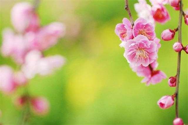 乐观心态正能量感悟 保持乐观开朗心态感悟