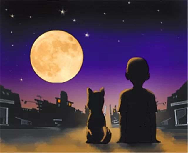 夜晚在枕头上沉睡 你却独自无眠 如果说睡眠是对现实的逃避 那么失眠